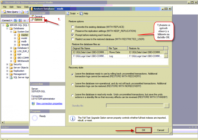 Nastavenie spôsobu obnovy SQL databázy zo zálohy v záložke Options